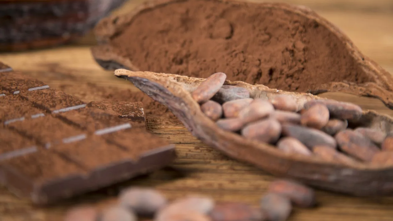 The Power of Cocoa: Exploring the Health Benefits of This Remarkable Dietary Supplement