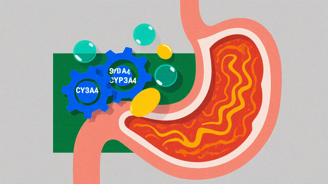 Geometric illustration of stomach irritation and liver with gears showing enzyme clash.